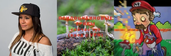 гашик Аркадак