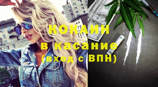 гашик Арсеньев