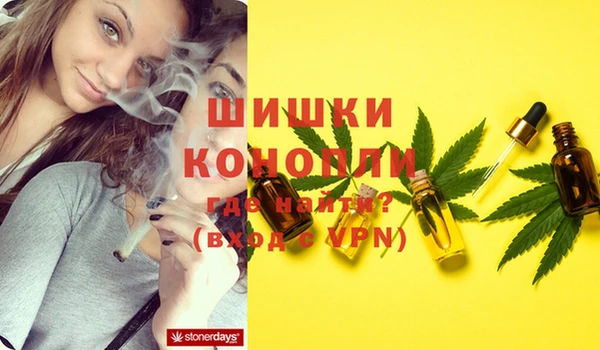 2c-b Тайга