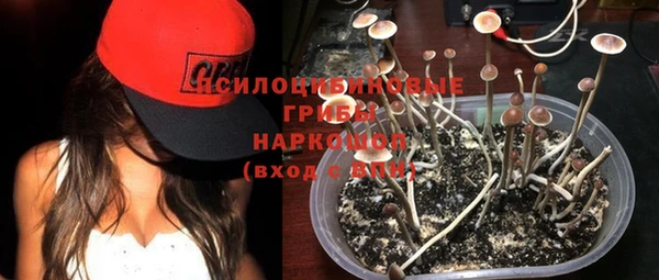 гашик Арсеньев