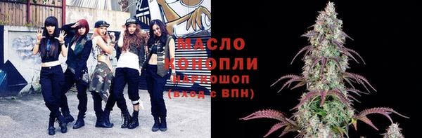 гашик Аркадак