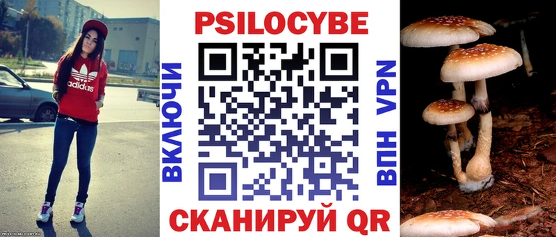 Псилоцибиновые грибы MAGIC MUSHROOMS  Усть-Илимск 